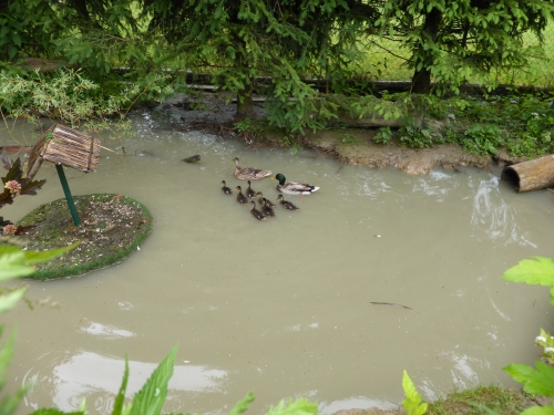 Záchranná stanica a Ekocentrum Zázrivá