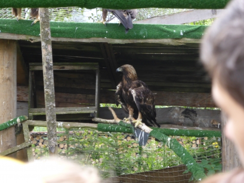 Záchranná stanica a Ekocentrum Zázrivá