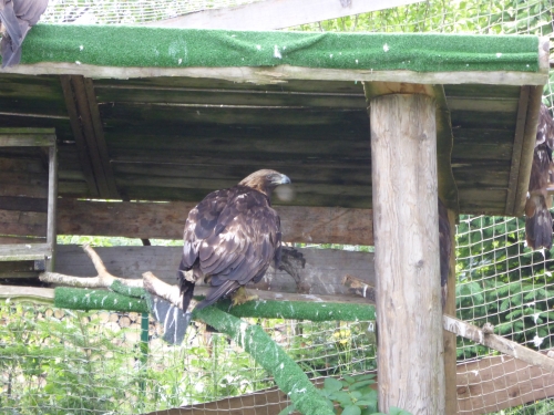 Záchranná stanica a Ekocentrum Zázrivá